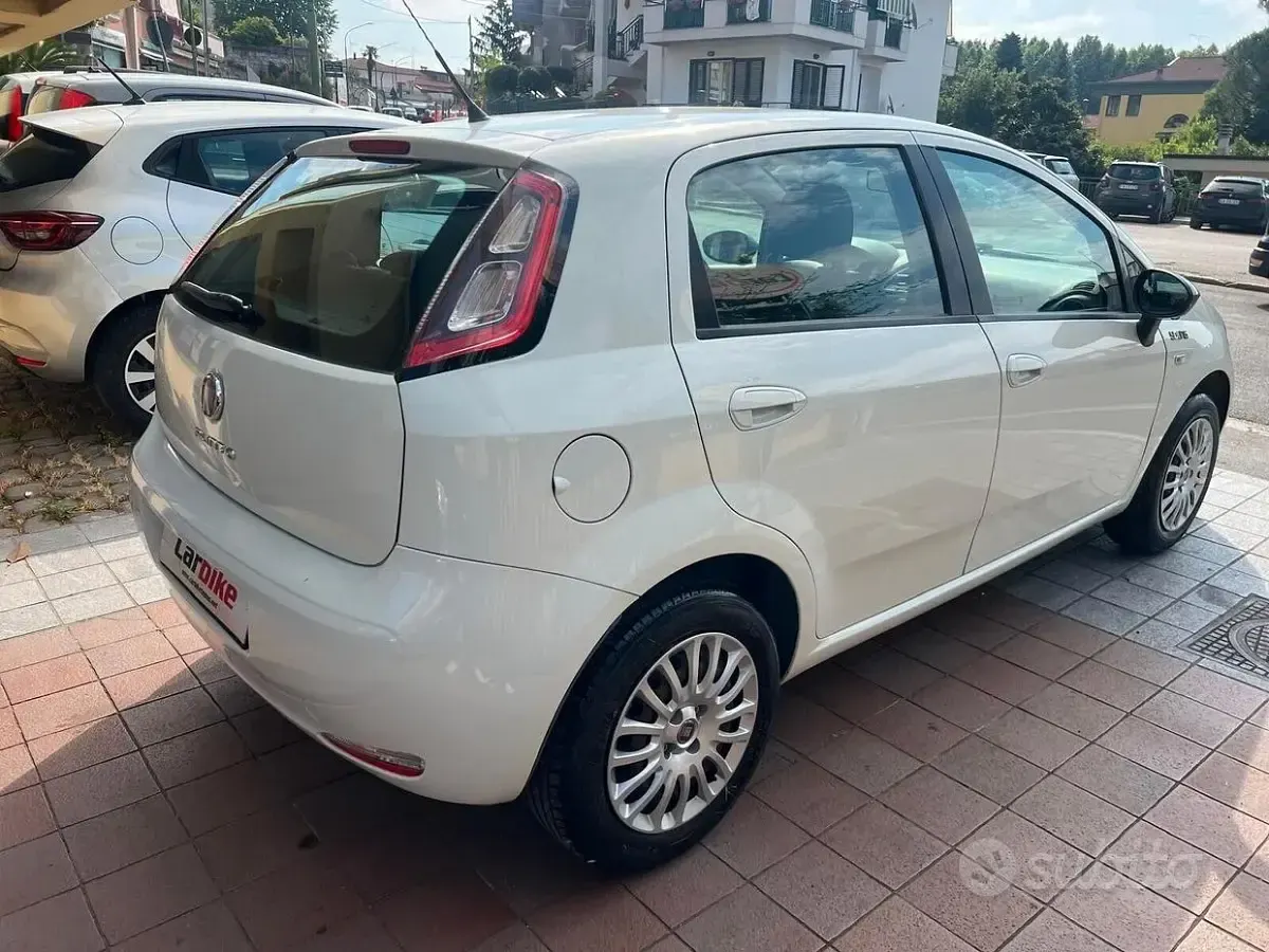 Usata Fiat Punto Young 77 CV (56 kW) 2014 Bianco Utilitaria