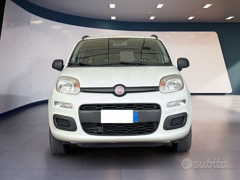 Usata Fiat Panda Young 80 CV (58 kW) 2014 Bianco Utilitaria