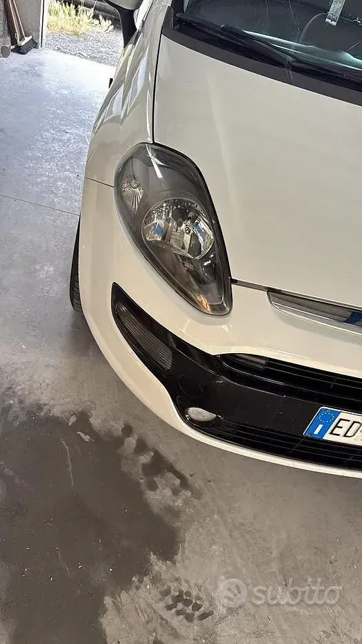 Usata Fiat Punto Evo 75 CV (55 kW) 2011 Utilitaria