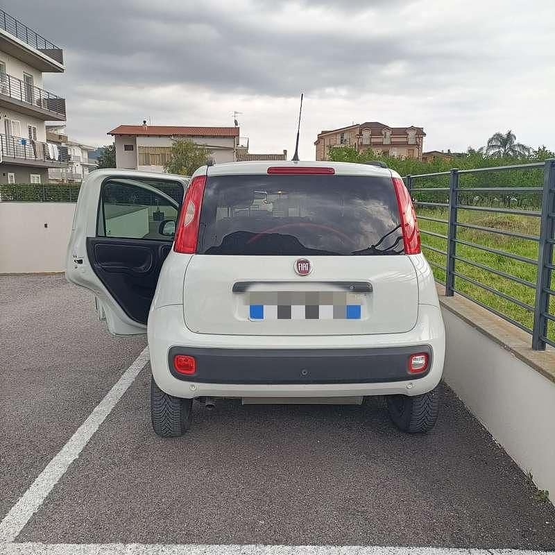 Usata Fiat Panda Easy 80 CV (58 kW) 2019 Utilitaria