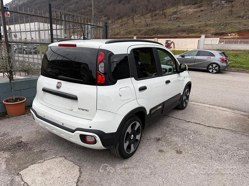 Usata Fiat Panda Cross Cross 69 CV (50 kW) 2025 Utilitaria
