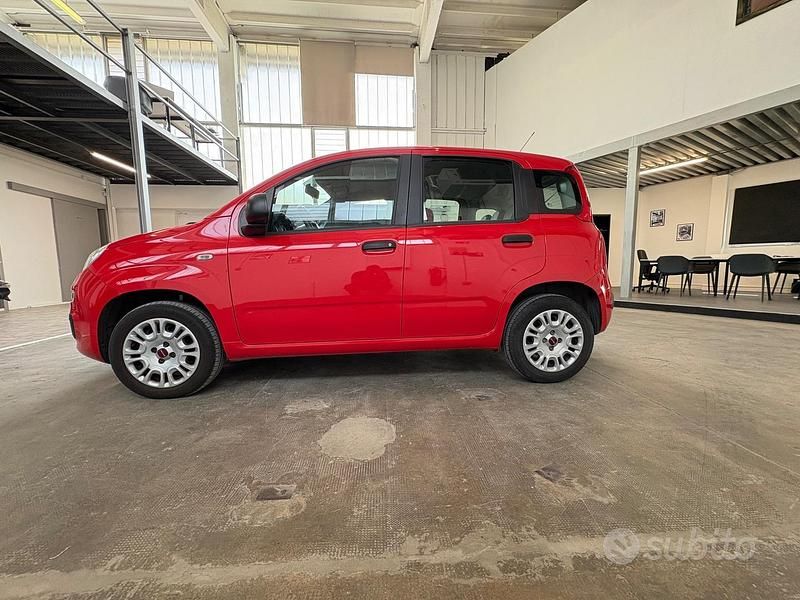 Usata Fiat Panda Easy 69 CV (50 kW) 2019 Rosso Utilitaria