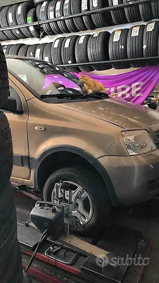 Usata Fiat Panda 4x4 69 CV (50 kW) 2009 Grigio Utilitaria