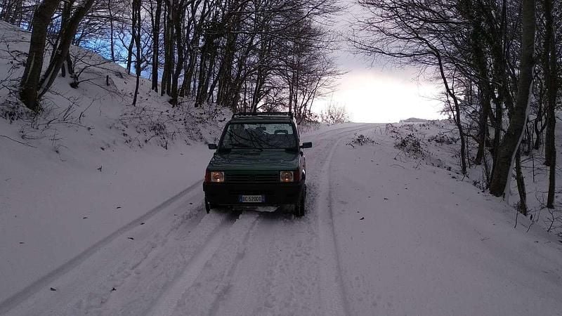 Usata Fiat Panda 4x4 Trekking 54 CV (39 kW) 1999 Verde Utilitaria