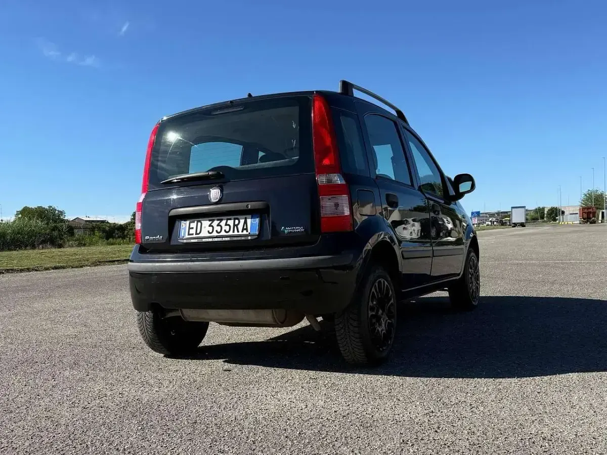 Usata Fiat Panda Active 60 CV (44 kW) 2010 Nero Utilitaria