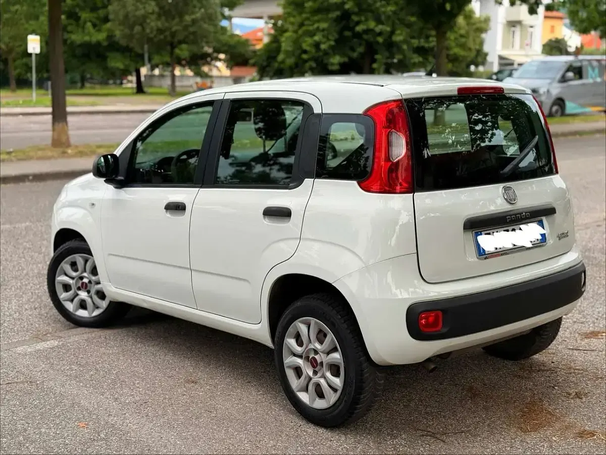 Usata Fiat Panda Lounge 80 CV (58 kW) 2014 Bianco Utilitaria