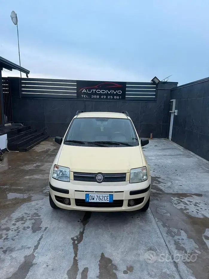 Usata Fiat Panda Dynamic 60 CV (44 kW) 2009 Giallo Utilitaria