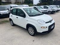 Usata Fiat Panda S 69 CV (50 kW) 2023 Bianco Utilitaria