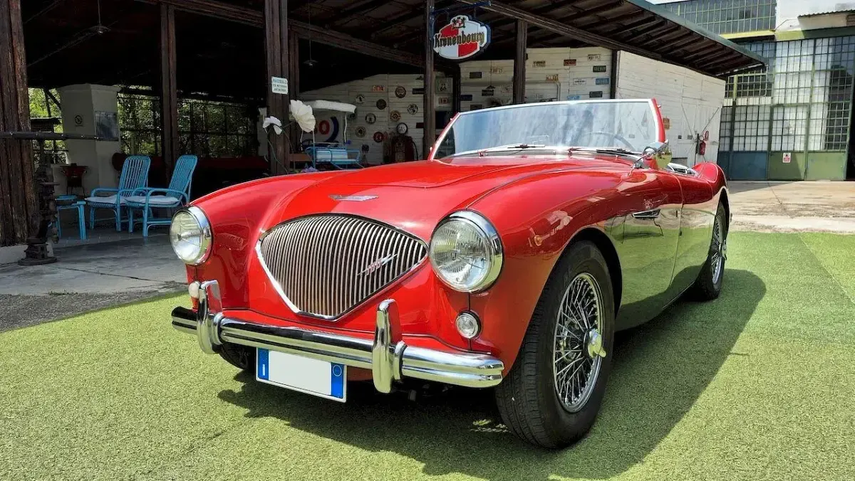 Usata Austin Healey 100 90 CV (66 kW) 1954 Rosso Cabrio