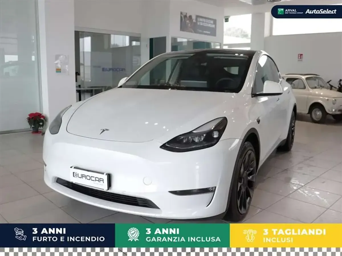 Occasion Tesla Model Y 378 kW (514 ch) 2022 Blanc SUV