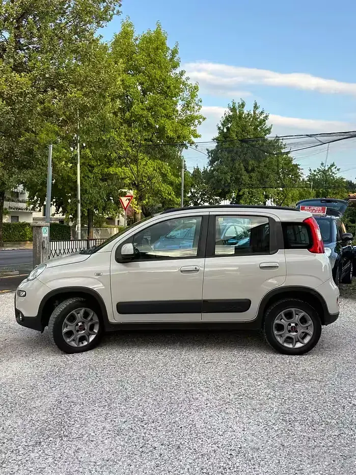 Usata Fiat Panda 4x4 S 75 CV (55 kW) 2013 Grigio Utilitaria