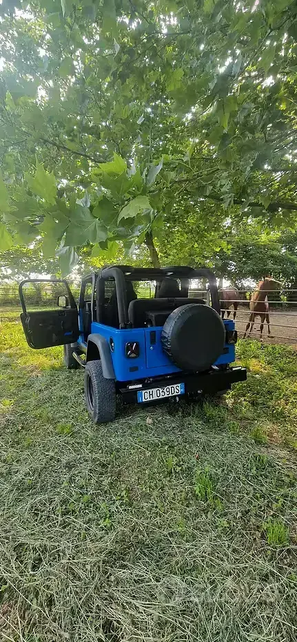 Usata Jeep Wrangler 2003 SUV
