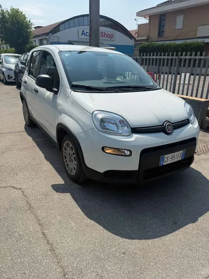 Usata Fiat Panda S 69 CV (50 kW) 2023 Bianco Utilitaria