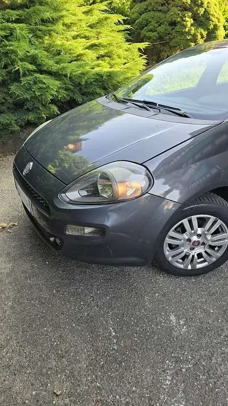 Usata Fiat Punto Easy 69 CV (50 kW) 2013 Utilitaria