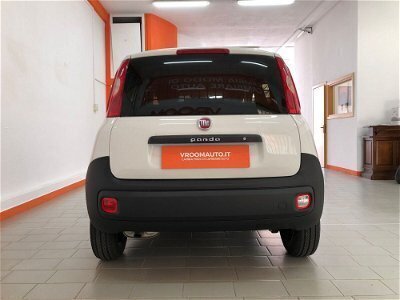 Usato 2017 Fiat Panda 4x4 1.2 Diesel 80 CV (11.500 €)