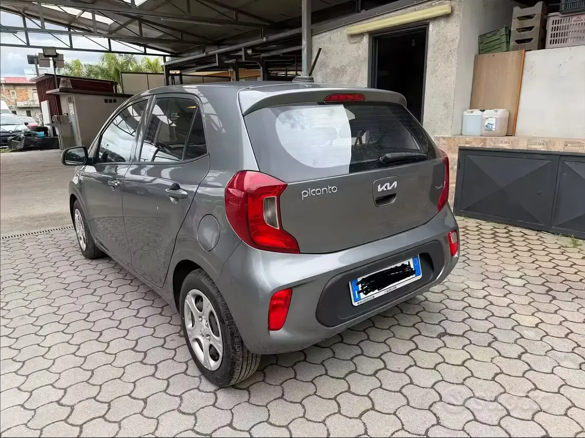 Usata Kia Picanto 67 CV (49 kW) 2022 Grigio Utilitaria