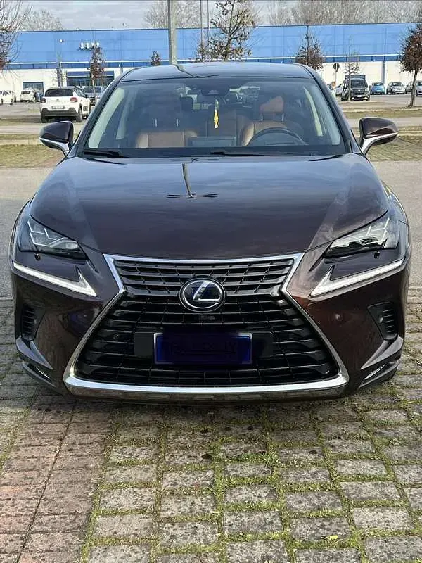 Usata Lexus NX300h E-FOUR Luxury Line 197 CV (144 kW) 2020 Marrone SUV