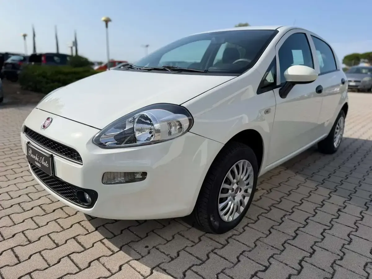 Usata Fiat Punto Lounge 77 CV (56 kW) 2016 Bianco Utilitaria