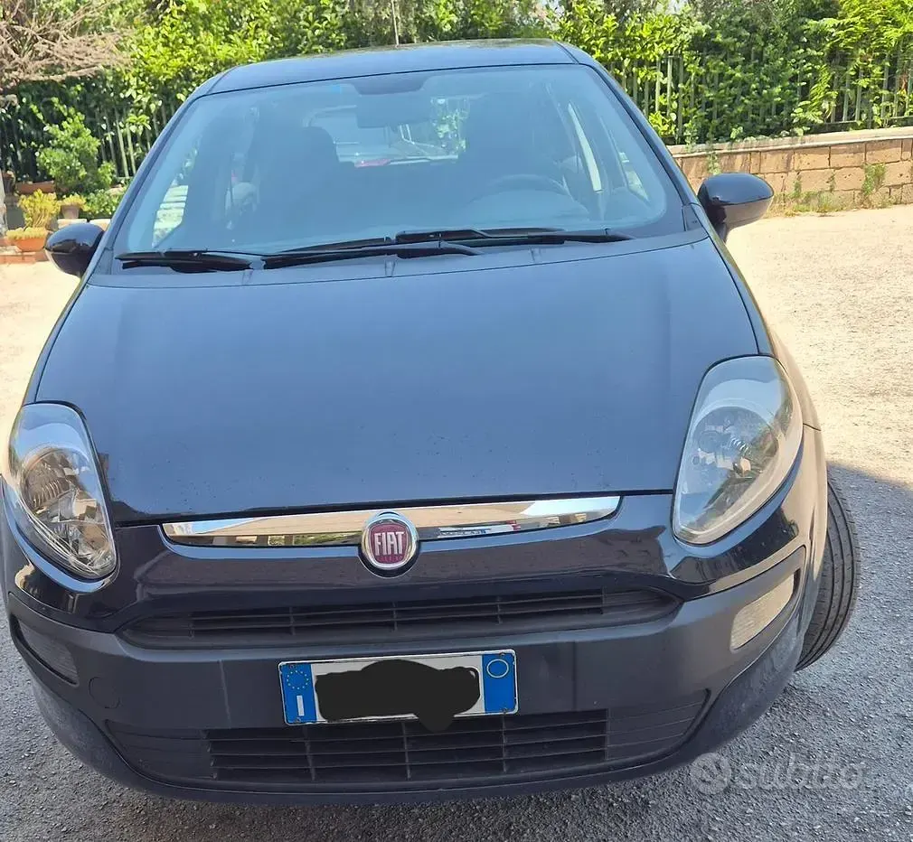 Usata Fiat Punto Evo 77 CV (56 kW) 2011 Bluazzurro Utilitaria
