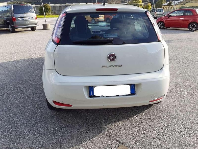 Usata Fiat Punto Pop 75 CV (55 kW) 2014 Bianco Utilitaria