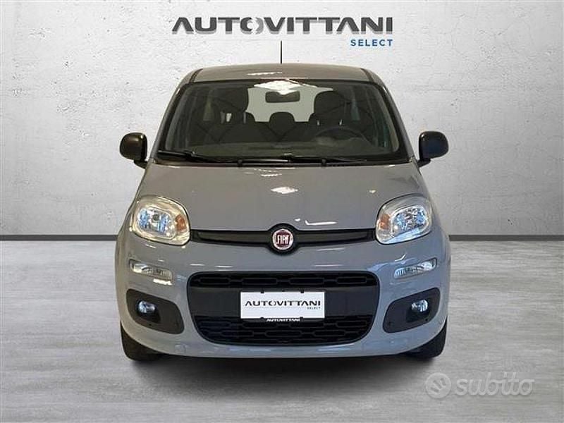 Usata Fiat Panda City Life 70 CV (51 kW) 2021 Grigio chiaro Utilitaria