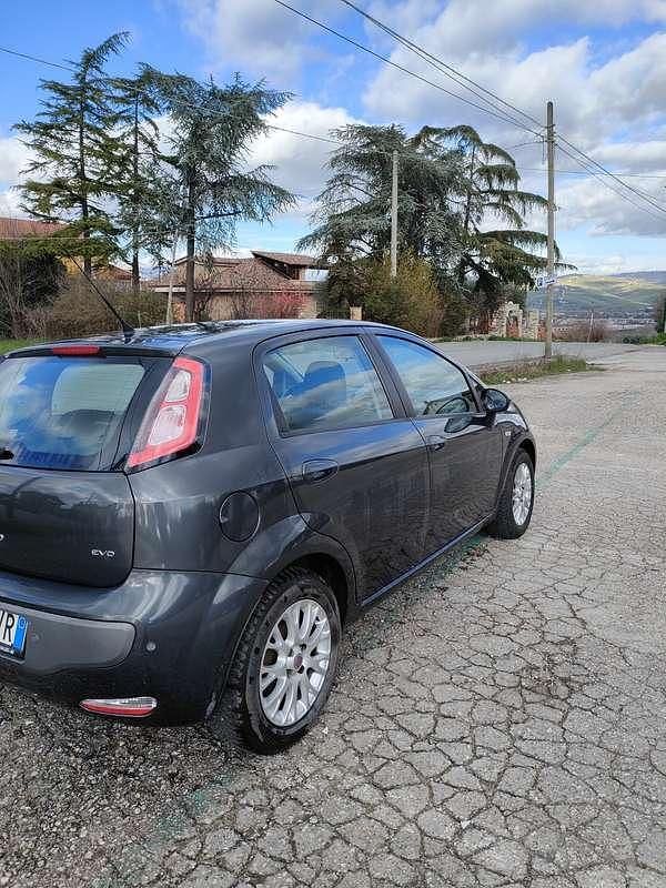 Usata Fiat Punto Evo Emotion 95 CV (69 kW) 2011 Utilitaria