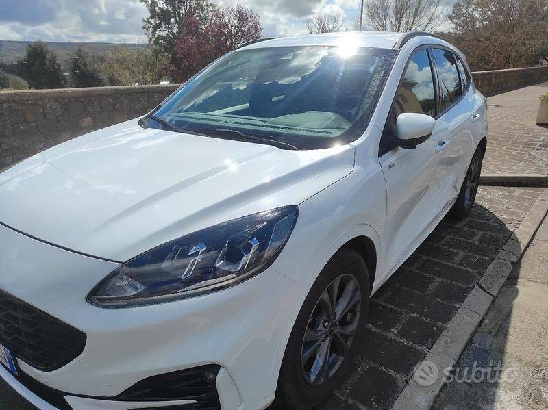 Usata Ford Kuga ST-Line 150 CV (110 kW) 2024 Bianco SUV