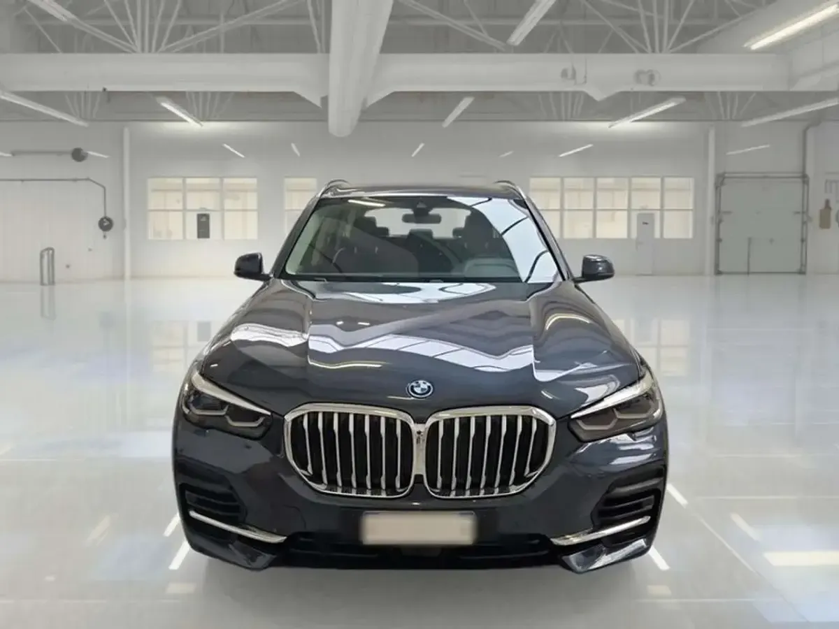 Usata BMW X5 286 CV (210 kW) 2021 Blu SUV