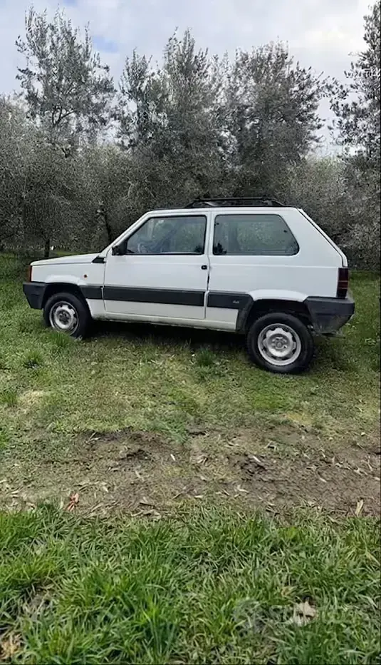 Usata Fiat Panda 4x4 Trekking 54 CV (39 kW) 1999 Bianco Utilitaria