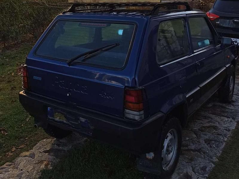 Usata Fiat Panda 4x4 Climbing 54 CV (39 kW) 2002 Blu/azzurro Utilitaria
