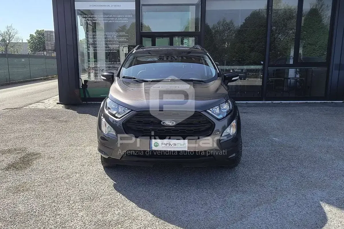 Usata Ford Ecosport ST 125 CV (91 kW) 2019 Grigio SUV
