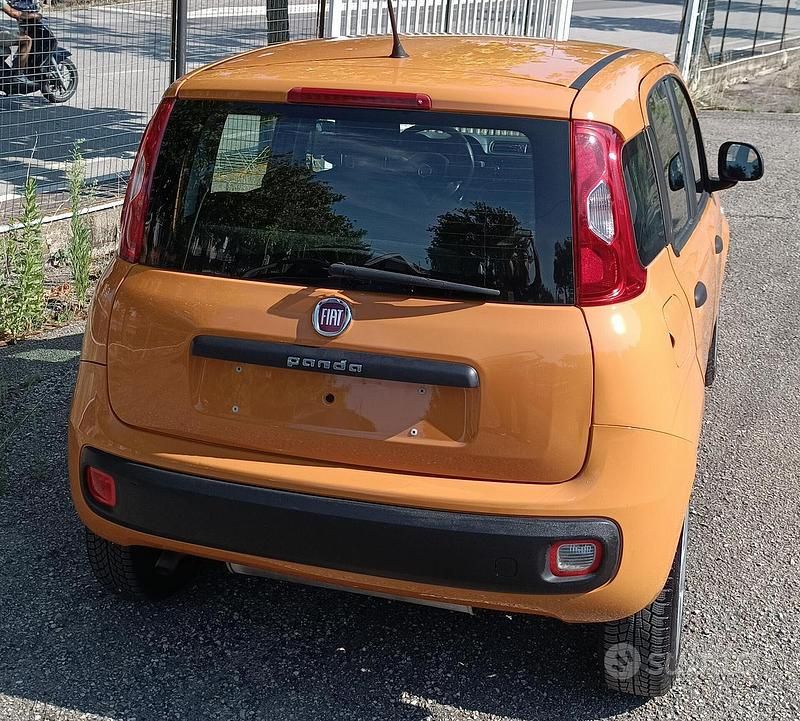 Usata Fiat Panda Easy 85 CV (62 kW) 2019 Giallo Utilitaria