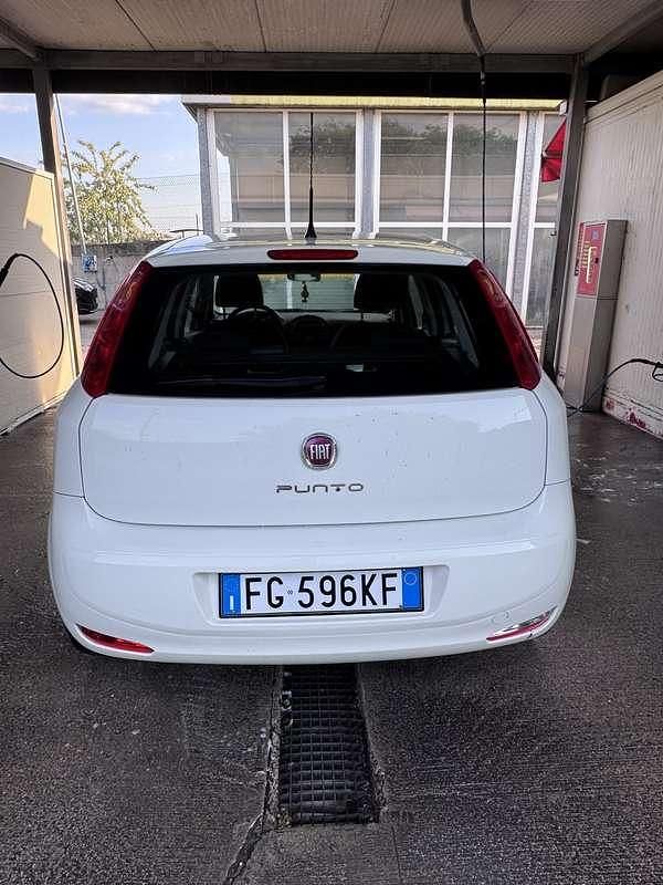 Usata Fiat Punto Young 69 CV (50 kW) 2016 Bianco Utilitaria