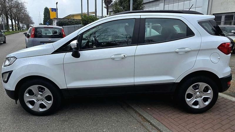 Usata Ford Ecosport ST-Line 99 CV (72 kW) 2019 Bianco SUV