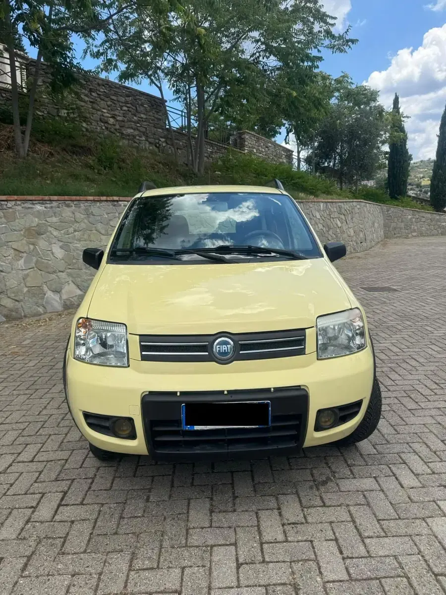 Usata Fiat Panda 4x4 Climbing 69 CV (50 kW) 2007 Giallo Utilitaria