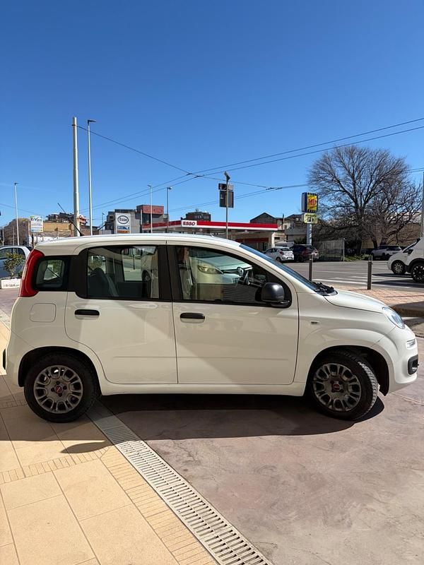 Usata Fiat Panda Easy 95 CV (69 kW) 2018 Bianco Utilitaria