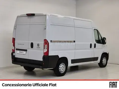 Usata Fiat Ducato 33 160 CV (117 kW) 2020 Bianco Furgone
