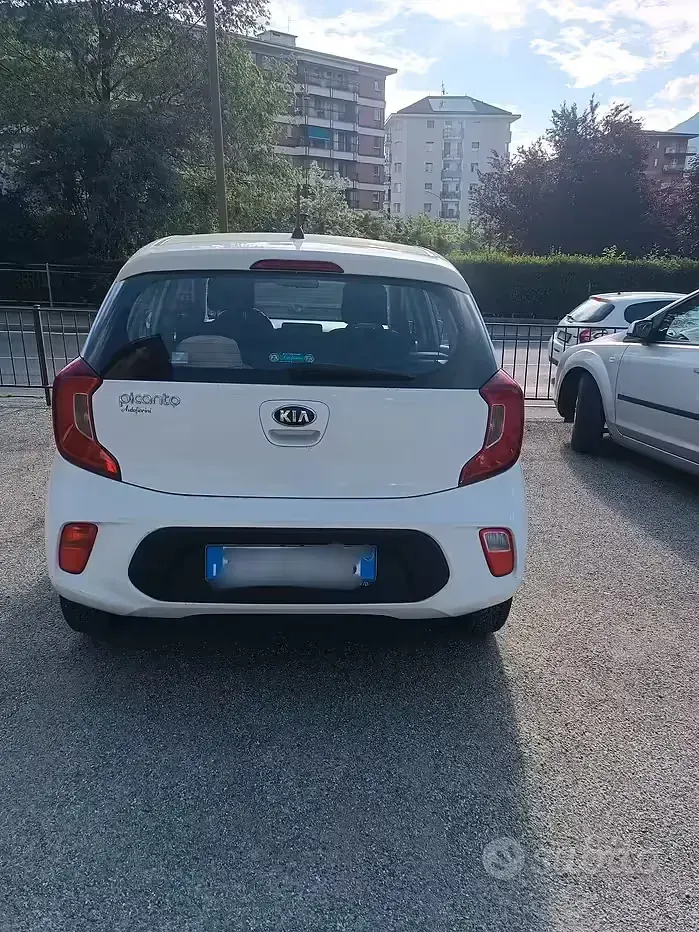 Usata Kia Picanto 67 CV (49 kW) 2019 Bianco Utilitaria