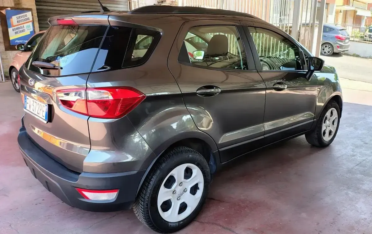 Usata Ford Ecosport 101 CV (74 kW) 2019 Other SUV