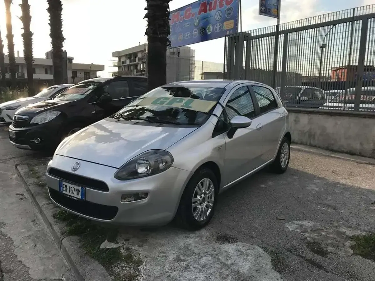 Usata Fiat Punto Evo Active 77 CV (56 kW) 2012 Other Utilitaria
