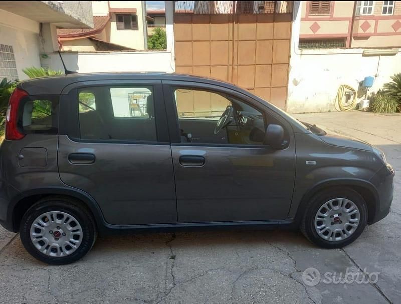 Usata Fiat Panda 2023 Grigio Utilitaria