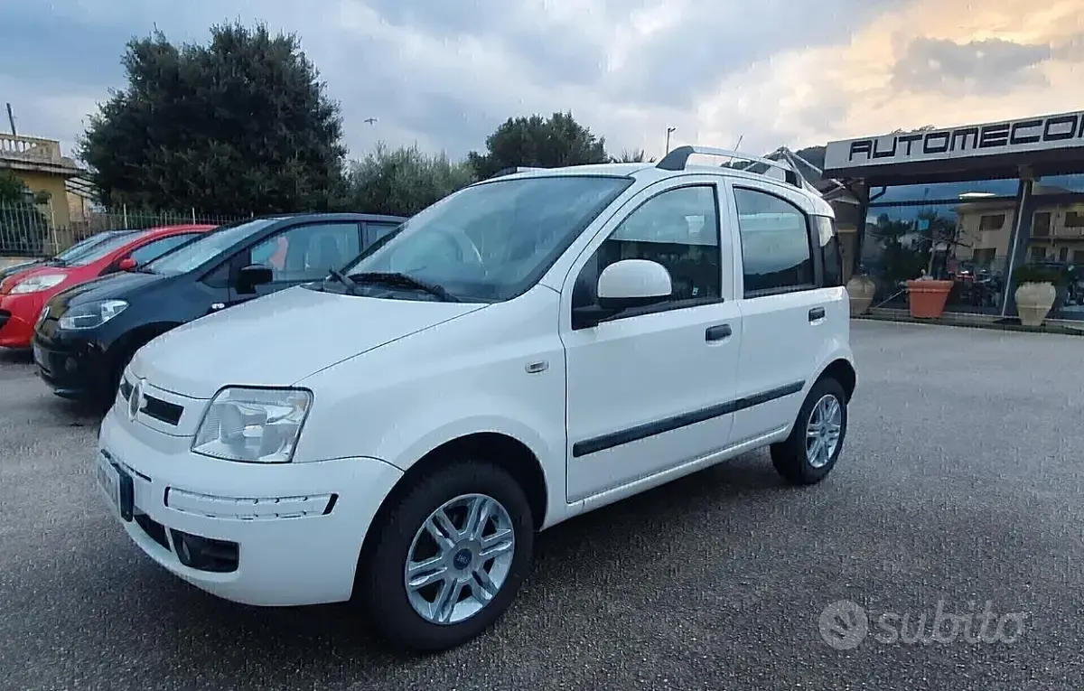 Usata Fiat Panda 60 CV (44 kW) 2010 Bianco Utilitaria