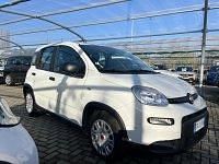Usata Fiat Panda S 69 CV (50 kW) 2023 Bianco Utilitaria