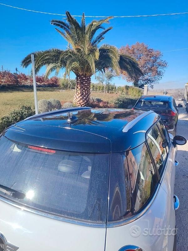 Usata Mini Countryman 2013 SUV