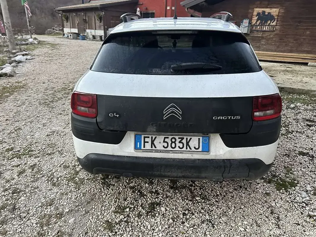 Usata Citroën C4 Cactus PureTech 82 CV (60 kW) 2017 Bianco Utilitaria