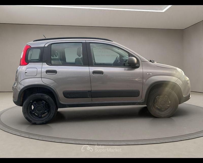 Usata Fiat Panda 4x4 S 86 CV (63 kW) 2020 Grigio Utilitaria