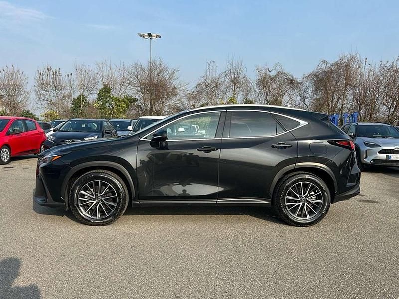 Usata Lexus NX300 243 CV (178 kW) 2023 Other SUV