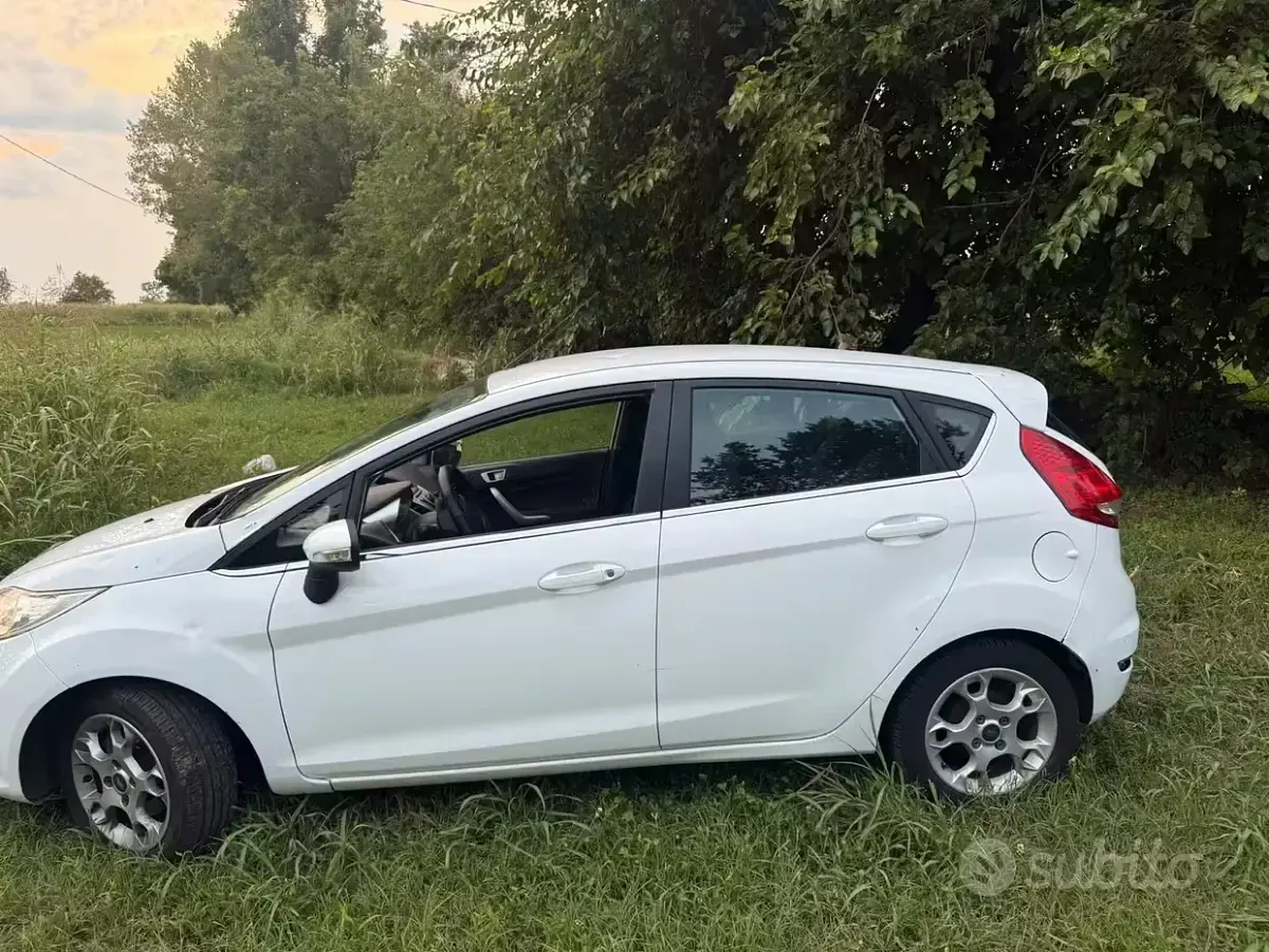 Usata Ford Fiesta 95 CV (69 kW) 2015 Bianco Utilitaria