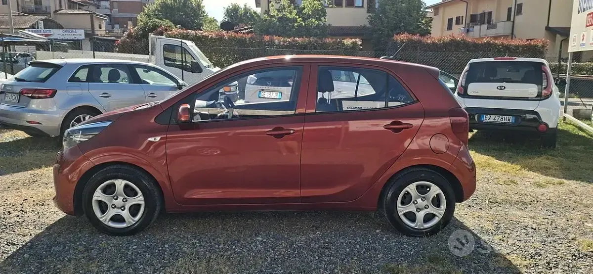 Usata Kia Picanto Urban 65 CV (47 kW) 2022 Arancione Utilitaria