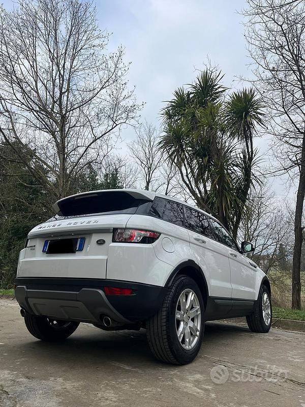 Usata Land Rover Range Rover evoque Dynamic 190 CV (139 kW) 2014 Bianco SUV